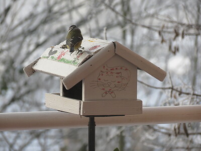 MÃ©sange maisonette