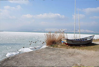 Suisse lac LÃ©man jigsaw puzzle