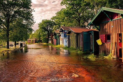 les pieds dans l 'eau jigsaw puzzle