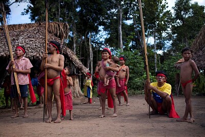 פאזל של povos indigenas
