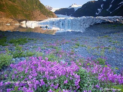 Parque Nacional de Kenai (Alaska)