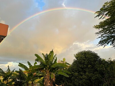 ARCO IRIS EN LA TARDE