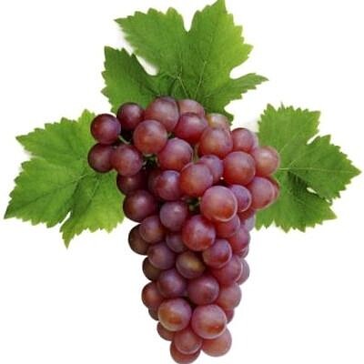 UVAS jigsaw puzzle