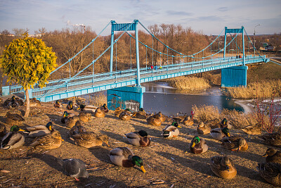 Tezikov Bridge