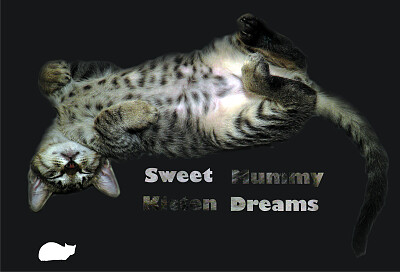 Mummy dreams 2