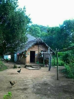 rancho