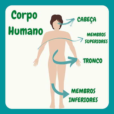 CORPO HUMANO