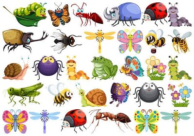 Insectos