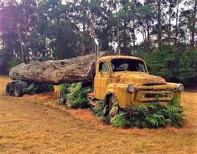 Forgotten Truck jigsaw puzzle