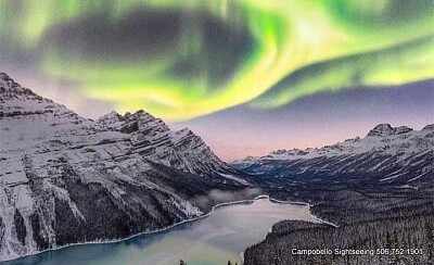 פאזל של Northern, Can. Rockies Lights at Peyto Lake