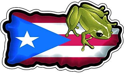 COQUI DE PUERTO RICO