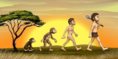 LA EVOLUCIÓN