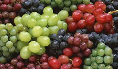 VARIEDAD DE UVAS jigsaw puzzle