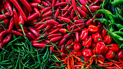 CHILES MEXICANOS jigsaw puzzle