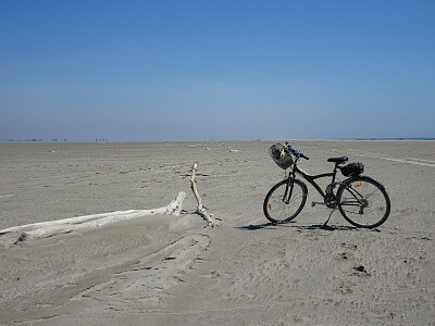 Camargue