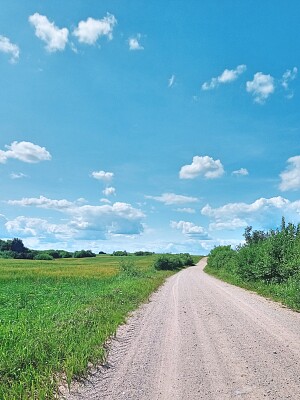 Estrada de terra