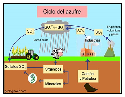 ciclo del asufre