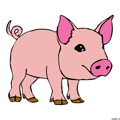 Cochon jigsaw puzzle