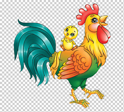 Chicken and rooster