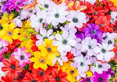 flores jigsaw puzzle