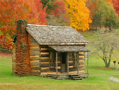 CABAÑA EN EL BOSQUE