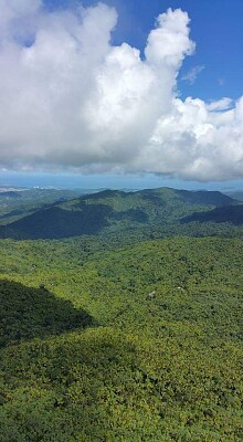 El Yunque 1, 2015, Puerto Rico