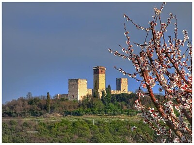 verona primavera a Montorio