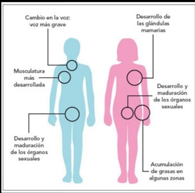 Ciencias Naturales jigsaw puzzle