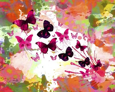 Butterflies