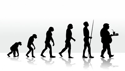 פאזל של evolução