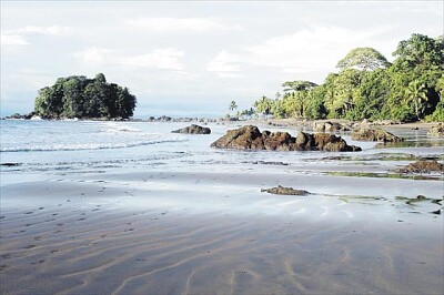 PLAYA NUQUI EL CHOCO jigsaw puzzle