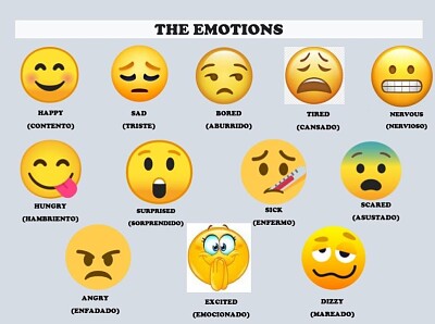 THE EMOTIONS jigsaw puzzle