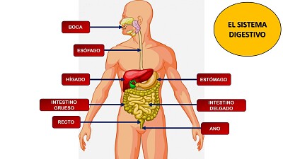 Recuerda que todos los días aprendemos algo nuevo