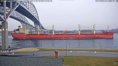 mv Federal Cedar under the Blue Water Bridge