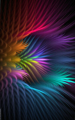 abstract feather flower