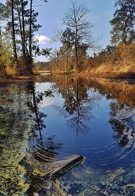 Landes jigsaw puzzle