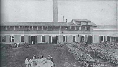 CENTRAL DE CAÑA DEL 1910