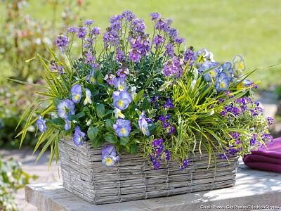 פאזל של bouquet de fleurs