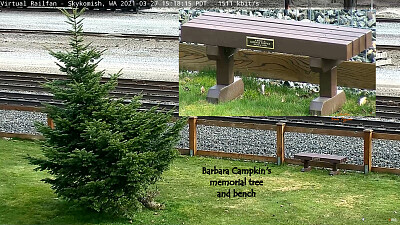 Barbara’s tree and memorial bench  Skyomish,WA/USA