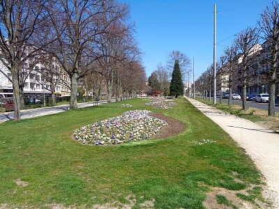 Neuchâtel 7