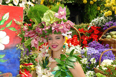 Fête des fleurs