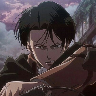 פאזל של levi ackerman