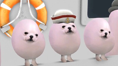 eggdog