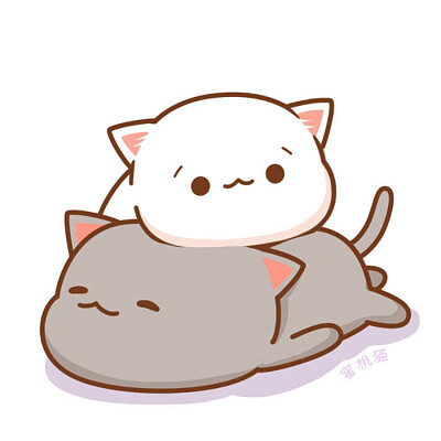 Gatito