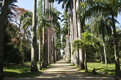 פאזל של Rio de Janeiro - Brasil