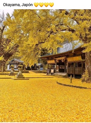 Okayama Japon jigsaw puzzle