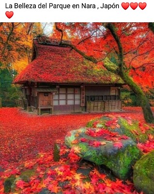 Parque Nara Japon