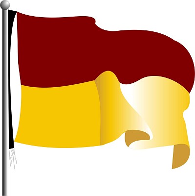 פאזל של Bandera del Tolima 2