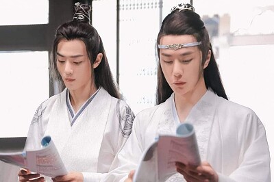 Xiao Zhan / Wang Yibo jigsaw puzzle