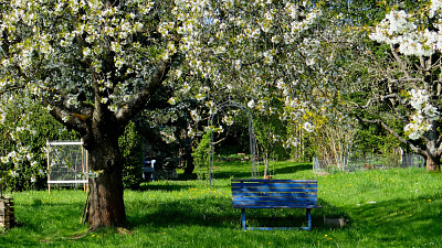 פאזל של Frühling im Park